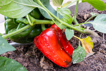 Similar image 21112493