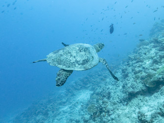 Similar image 21112495