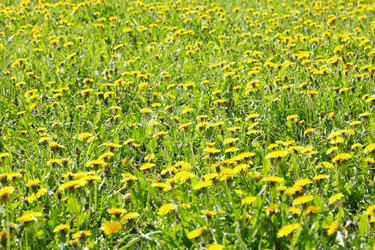 Similar image 21131248