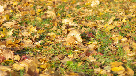 Similar image 21130855