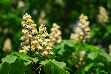 Similar image 21130860