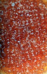 Similar image 21130866