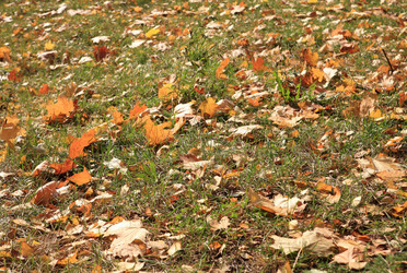 Similar image 21130868