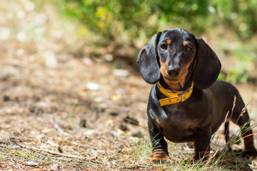 Similar image 21111167