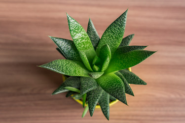 Similar image 21130487