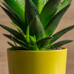 Similar image 21131305