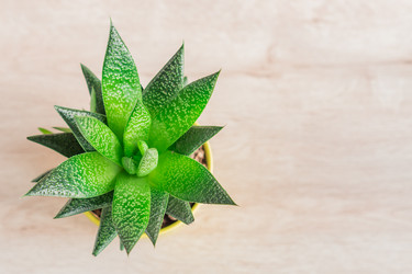 Similar image 21131309