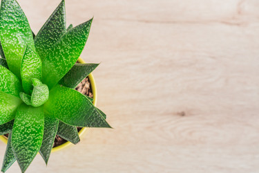 Similar image 21131311