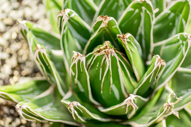 Similar image 21131313