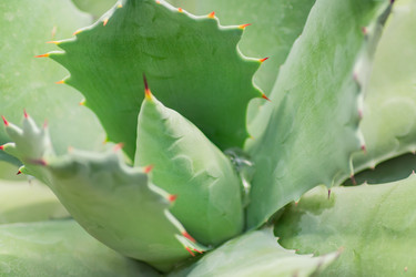 Similar image 21131315