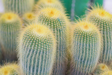 Similar image 21131317