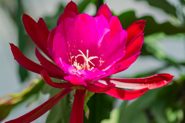 Similar image 21131327