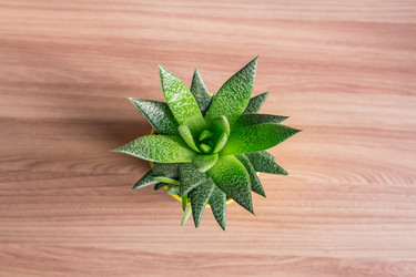 Similar image 21131451