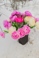 Similar image 21131452