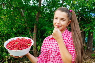 Similar image 21125694