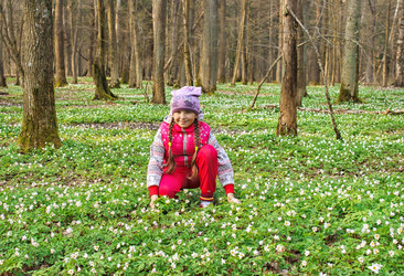 Similar image 21125721