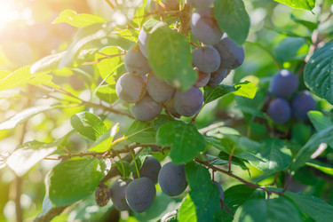 Similar image 21126953