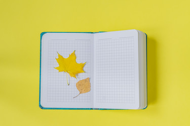 Similar image 21127580