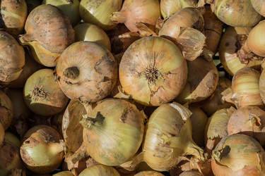 Similar image 21127600