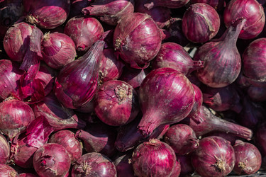 Similar image 21127604