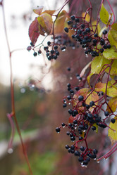 Similar image 21115212