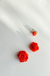 Similar image 21113672