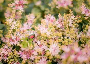 Similar image 21113673