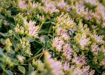 Similar image 21113674