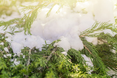 Similar image 21130502