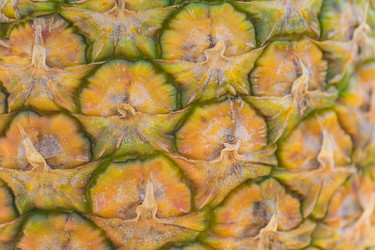 Similar image 21130515