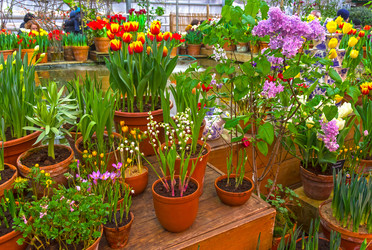 Similar image 21113697