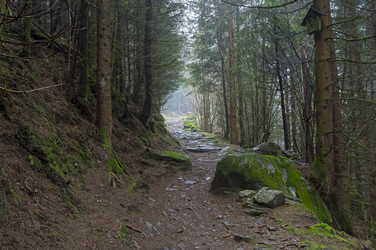 Similar image 21113701