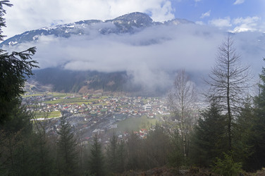 Similar image 21113702