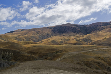 Similar image 21113729