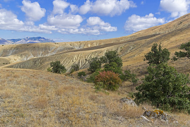 Similar image 21113730