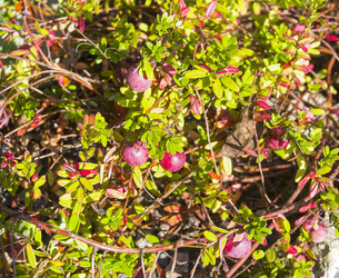 Similar image 21113731