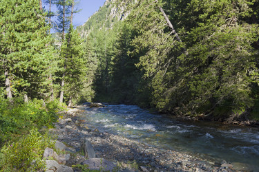 Similar image 21113735