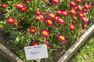 Similar image 21113736