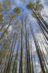 Similar image 21113738