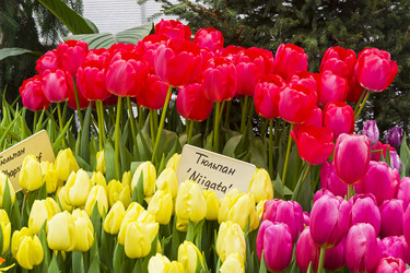 Similar image 21113743