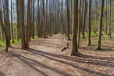 Similar image 21113744