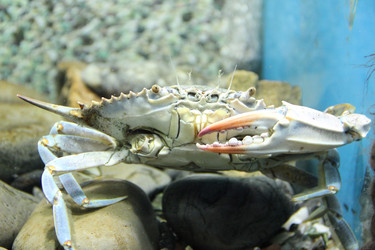 Similar image 21112497