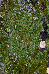 Similar image 21113650