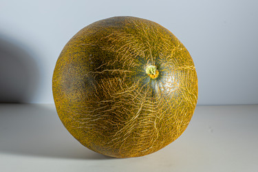 Similar image 21113656