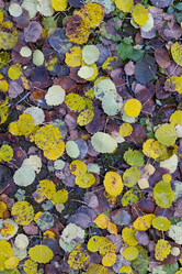 Similar image 21113657