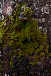 Similar image 21113658