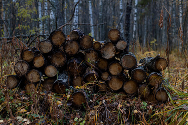 Similar image 21113659