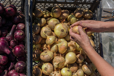 Similar image 21130532