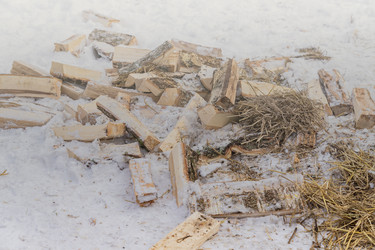 Similar image 21130535