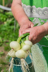 Similar image 21130537